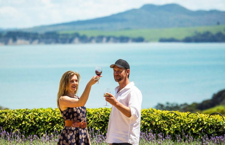 wine tour Waiheke Island