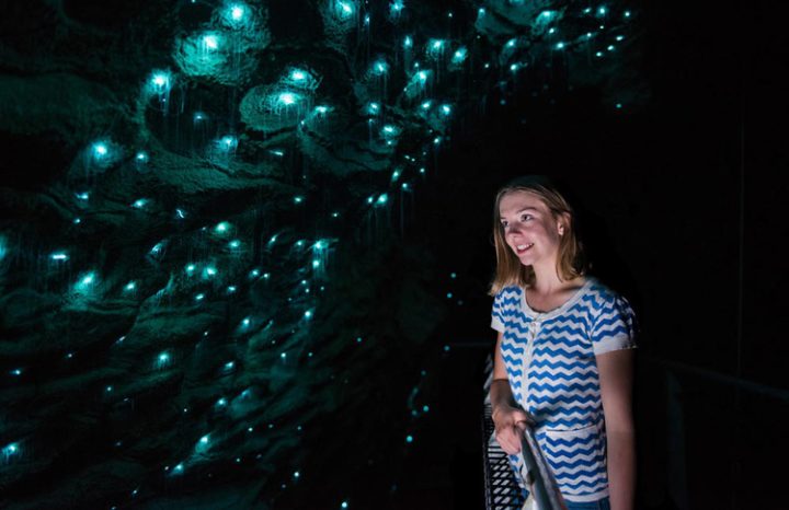 Waitomo underworld caves with glowworms