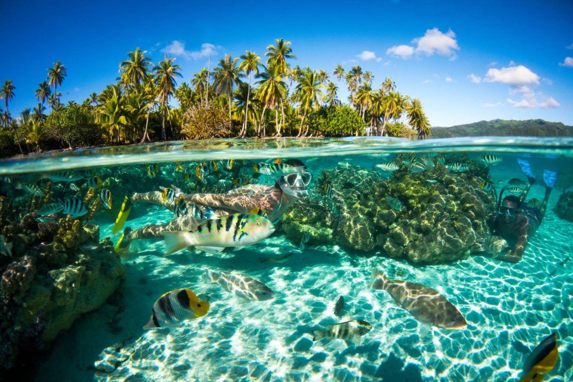 Diving French Polynesia