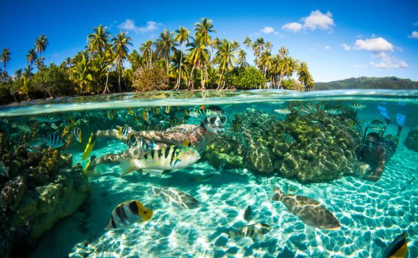 Diving French Polynesia