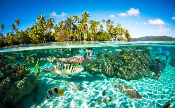 Tahiti Diving Tour