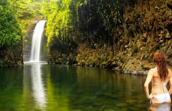 Taveuni Waterfall