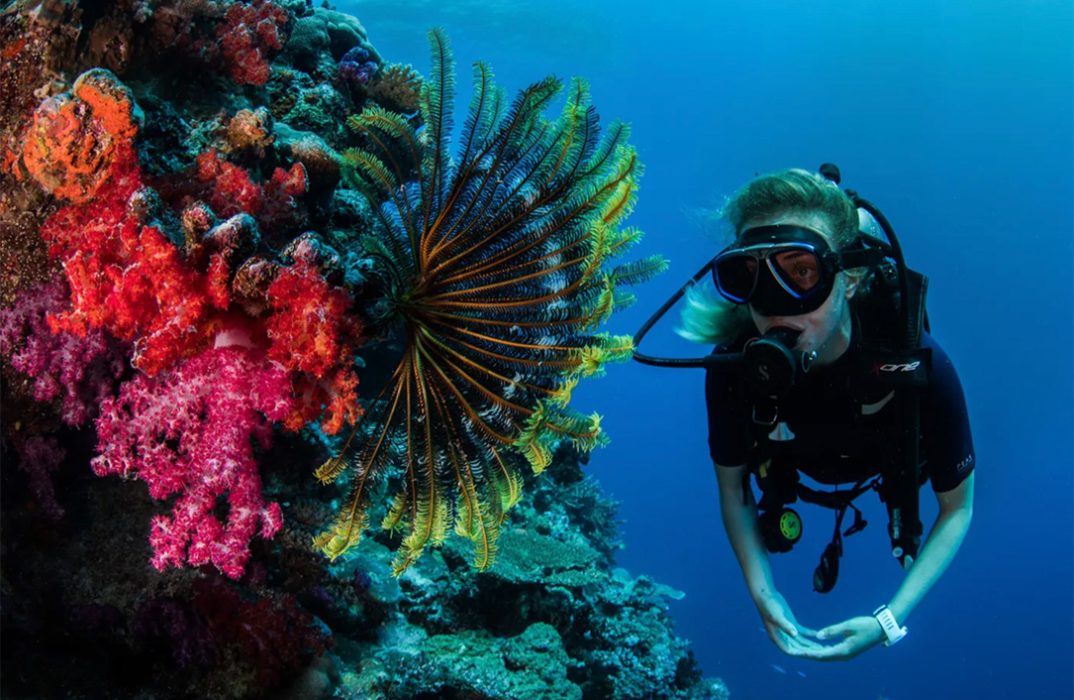 Kokomo Private Island Fiji - Diving adventure