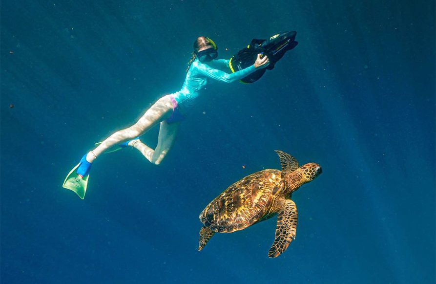 Swim with the turtles in Rarotonga - using a sea scooter