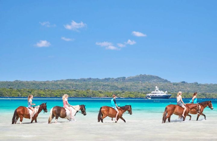 Turtle Bay Horse Riding